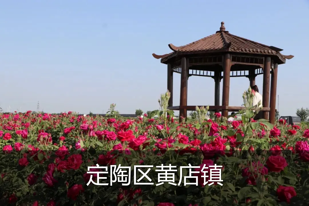 定陶区黄店镇